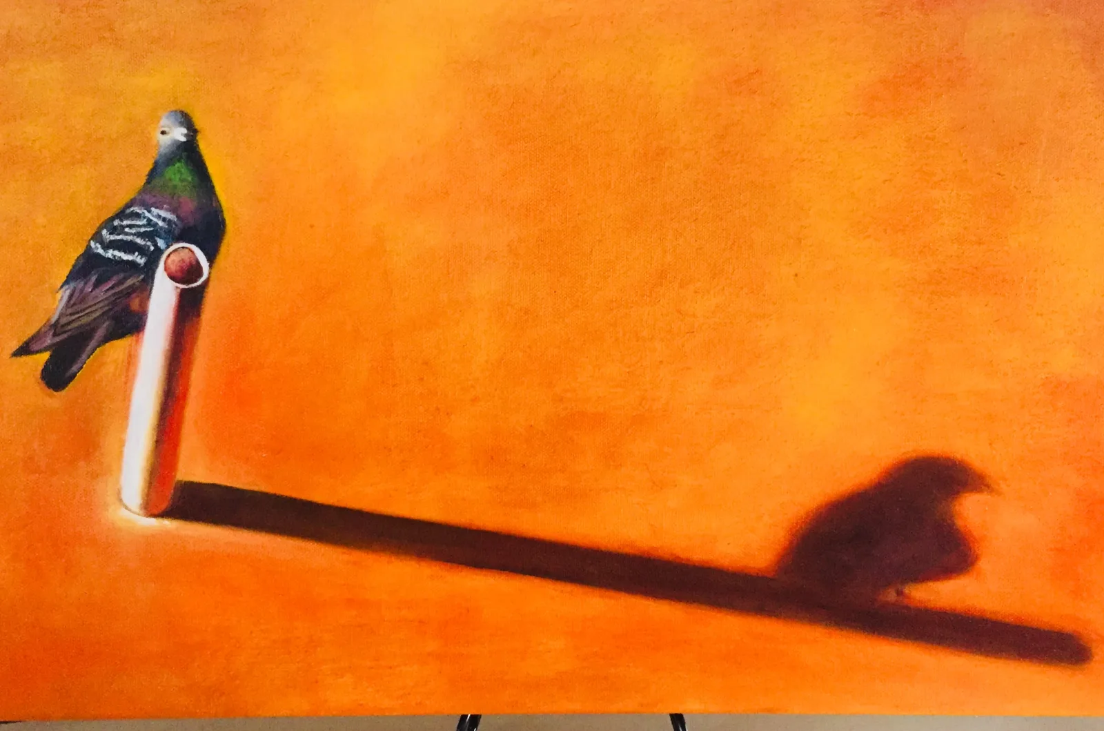 Five o'clock shadow, a landscape painting by Ruth Phillips